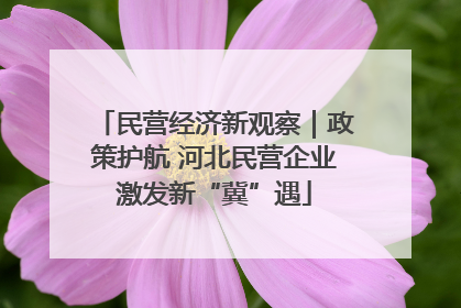 民营经济新观察｜政策护航 河北民营企业激发新“冀”遇