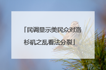 民调显示美民众对洛杉矶之乱看法分裂