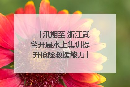 汛期至 浙江武警开展水上集训提升抢险救援能力
