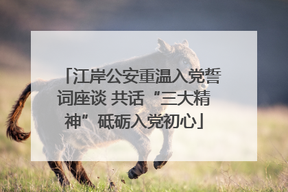 江岸公安重温入党誓词座谈 共话“三大精神”砥砺入党初心