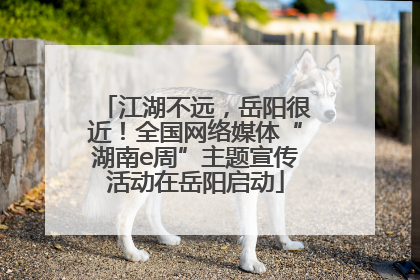 江湖不远，岳阳很近！全国网络媒体“湖南e周”主题宣传活动在岳阳启动
