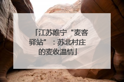 江苏睢宁“麦客驿站”：苏北村庄的麦收温情