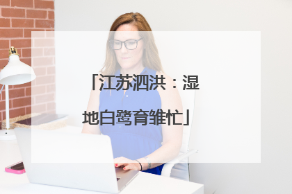 江苏泗洪：湿地白鹭育雏忙