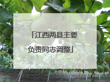 江西两县主要负责同志调整