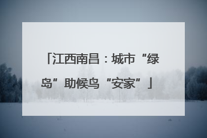 江西南昌：城市“绿岛”助候鸟“安家”