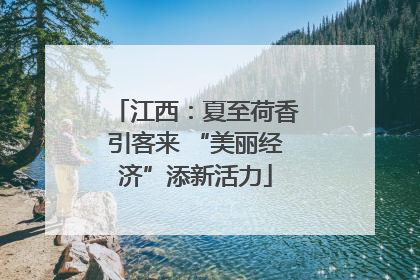 江西：夏至荷香引客来 “美丽经济”添新活力