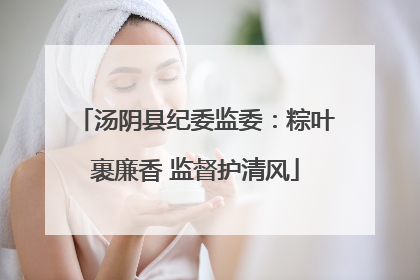 汤阴县纪委监委：粽叶裹廉香 监督护清风