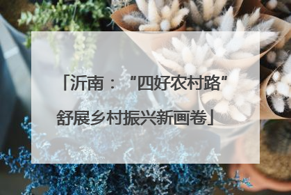 沂南：“四好农村路”舒展乡村振兴新画卷