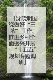 沈晓明围绕做好“三农”工作、推进乡村全面振兴开展“十五五”规划专题调研