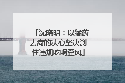 沈晓明：以猛药去疴的决心坚决刹住违规吃喝歪风