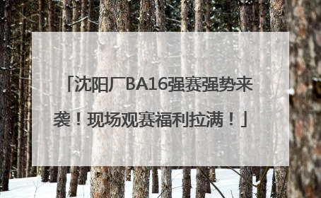 沈阳厂BA16强赛强势来袭！现场观赛福利拉满！