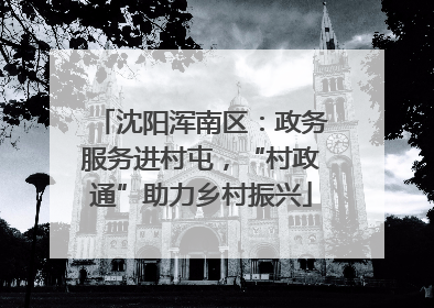 沈阳浑南区：政务服务进村屯，“村政通”助力乡村振兴