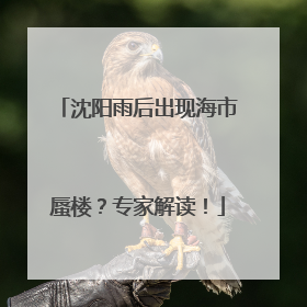 沈阳雨后出现海市蜃楼？专家解读！