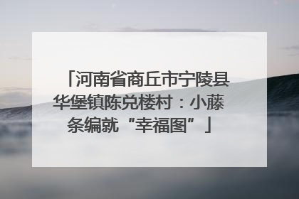 河南省商丘市宁陵县华堡镇陈兑楼村：小藤条编就“幸福图”
