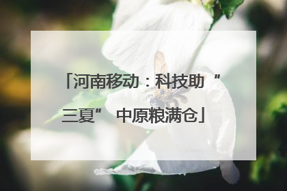 河南移动：科技助“三夏” 中原粮满仓