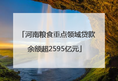 河南粮食重点领域贷款余额超2595亿元