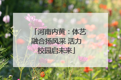 河南内黄：体艺融合扬风采 活力校园启未来