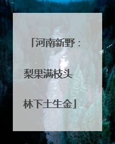河南新野：梨果满枝头 林下土生金