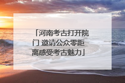 河南考古打开院门 邀请公众零距离感受考古魅力