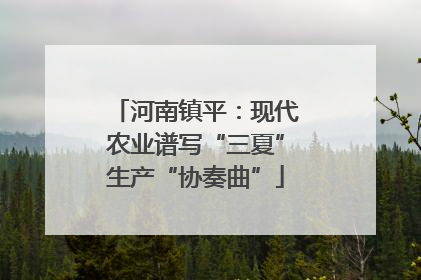 河南镇平：现代农业谱写“三夏”生产“协奏曲”