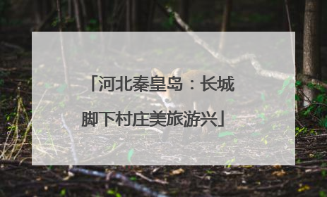 河北秦皇岛：长城脚下村庄美旅游兴