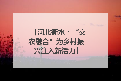 河北衡水：“交农融合”为乡村振兴注入新活力