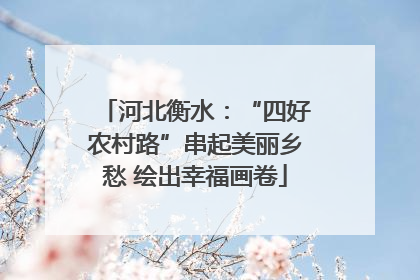 河北衡水：“四好农村路”串起美丽乡愁 绘出幸福画卷