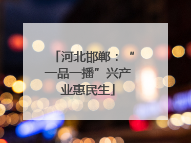 河北邯郸：“一品一播”兴产业惠民生