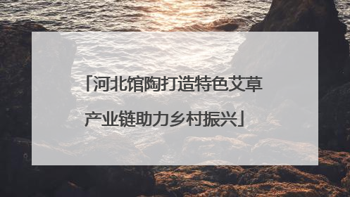 河北馆陶打造特色艾草产业链助力乡村振兴