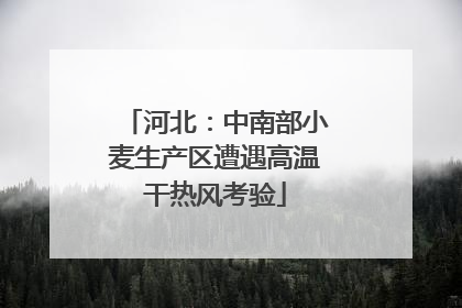 河北：中南部小麦生产区遭遇高温干热风考验
