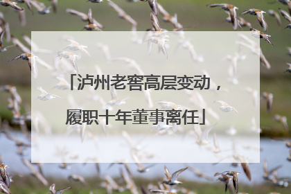 泸州老窖高层变动，履职十年董事离任