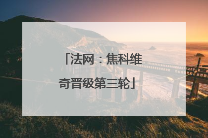 法网：焦科维奇晋级第三轮