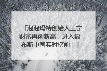 泡泡玛特创始人王宁财富再创新高，进入福布斯中国实时榜前十