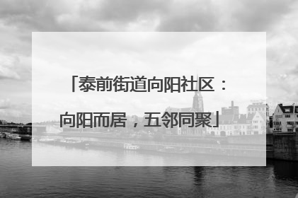 泰前街道向阳社区：向阳而居，五邻同聚