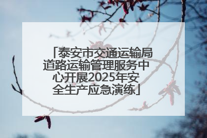 泰安市交通运输局道路运输管理服务中心开展2025年安全生产应急演练
