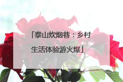 泰山炊烟巷：乡村生活体验游火爆