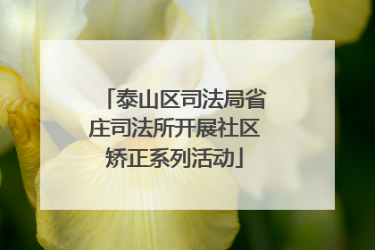 泰山区司法局省庄司法所开展社区矫正系列活动