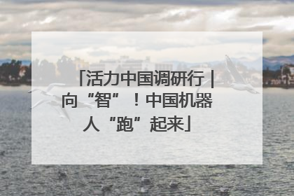 活力中国调研行｜向“智”！中国机器人“跑”起来