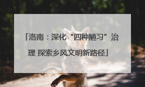 洛南：深化“四种陋习”治理 探索乡风文明新路径