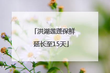 洪湖莲蓬保鲜延长至15天