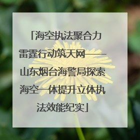 海空执法聚合力 雷霆行动筑天网——山东烟台海警局探索海空一体提升立体执法效能纪实