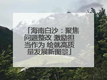 海南白沙：聚焦问题整改 激励担当作为 绘就高质量发展新图景