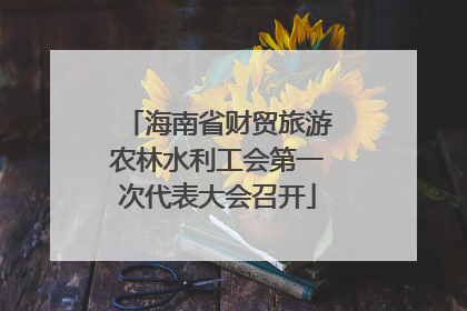 海南省财贸旅游农林水利工会第一次代表大会召开