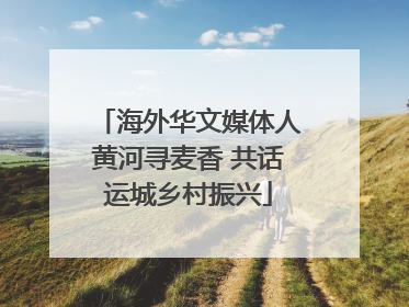 海外华文媒体人黄河寻麦香 共话运城乡村振兴