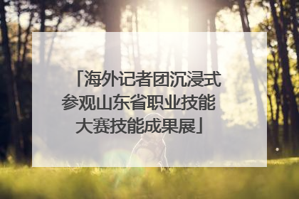 海外记者团沉浸式参观山东省职业技能大赛技能成果展