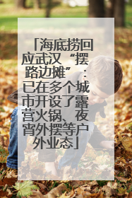 海底捞回应武汉“摆路边摊”：已在多个城市开设了露营火锅、夜宵外摆等户外业态