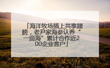 海洋牧场插上共享翅膀，老尹家海参认养“一亩海”累计合作近200企业客户