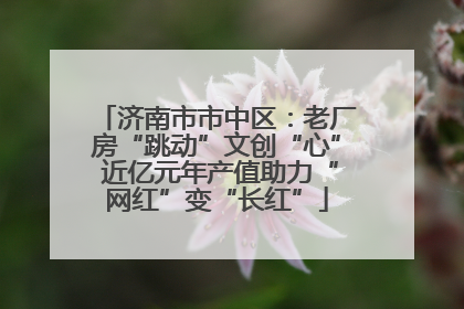 济南市市中区：老厂房“跳动”文创“心” 近亿元年产值助力“网红”变“长红”