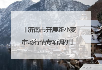 济南市开展新小麦市场行情专项调研