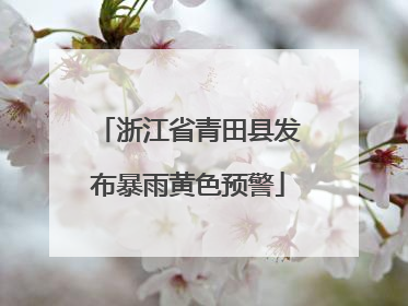 浙江省青田县发布暴雨黄色预警